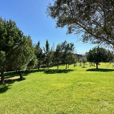 White By Check-in Portugal 펜션 알부페이라