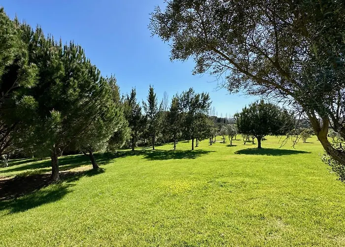 White By Check-in Portugal Casa vacanze Albufeira